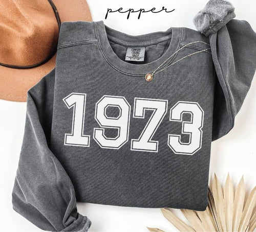 Gray (pepper) sweatshirt with '1973' printed on it, worn by a person, with a plain background.
